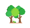 Arbori si arbusti