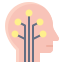 Afectiuni neurologice