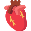 Afectiuni cardiovasculare