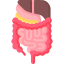 Afectiuni digestive